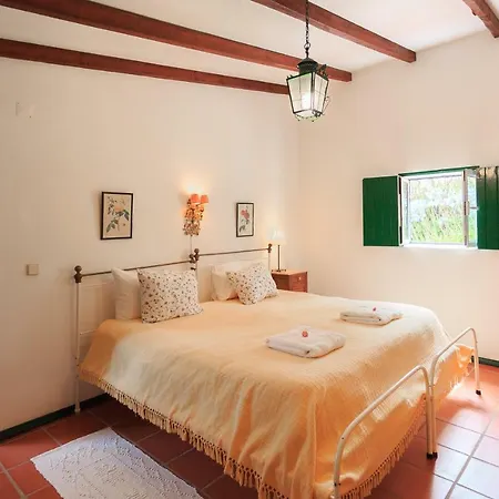 Casa Dos Mangues Gospodarstwo wiejskie São Martinho do Porto