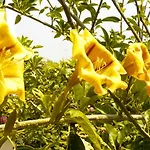 Casa Dos Mangues Εξοχικό σπίτι