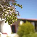 Casa Dos Mangues Sao Martinho do Porto