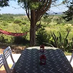 Casa Dos Mangues Εξοχικό σπίτι Sao Martinho do Porto