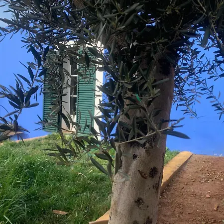 Lantställe Casa Dos Mangues