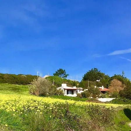 Casa Dos Mangues Country house Sao Martinho do Porto