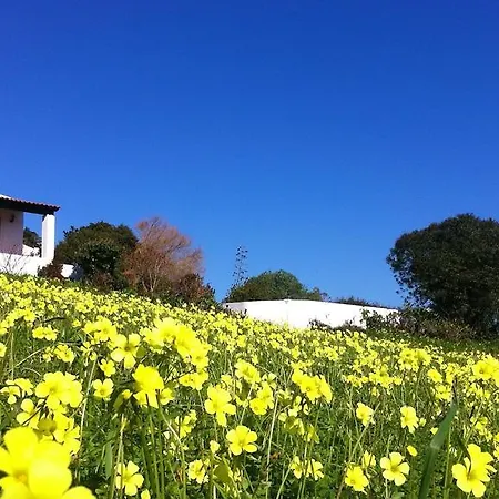 Lantställe Casa Dos Mangues São Martinho do Porto