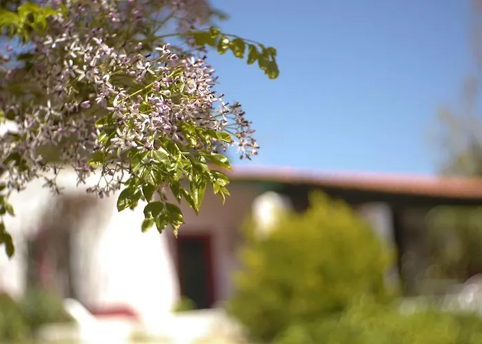 Casa Dos Mangues São Martinho do Porto