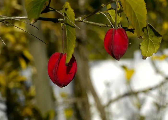 Casa Dos Mangues Casa di campagna São Martinho do Porto
