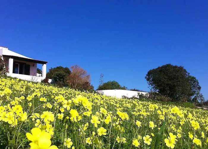 Casa di campagna Casa Dos Mangues São Martinho do Porto